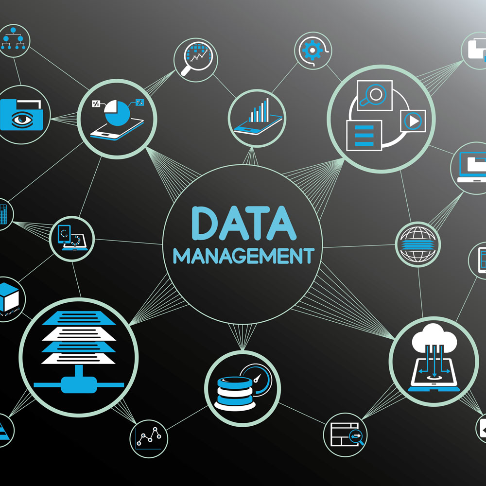 Management of Data Structures in the Web Environment